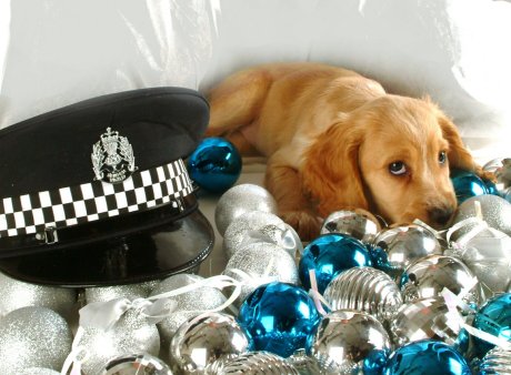 03 Police puppy dog Fern with police hat